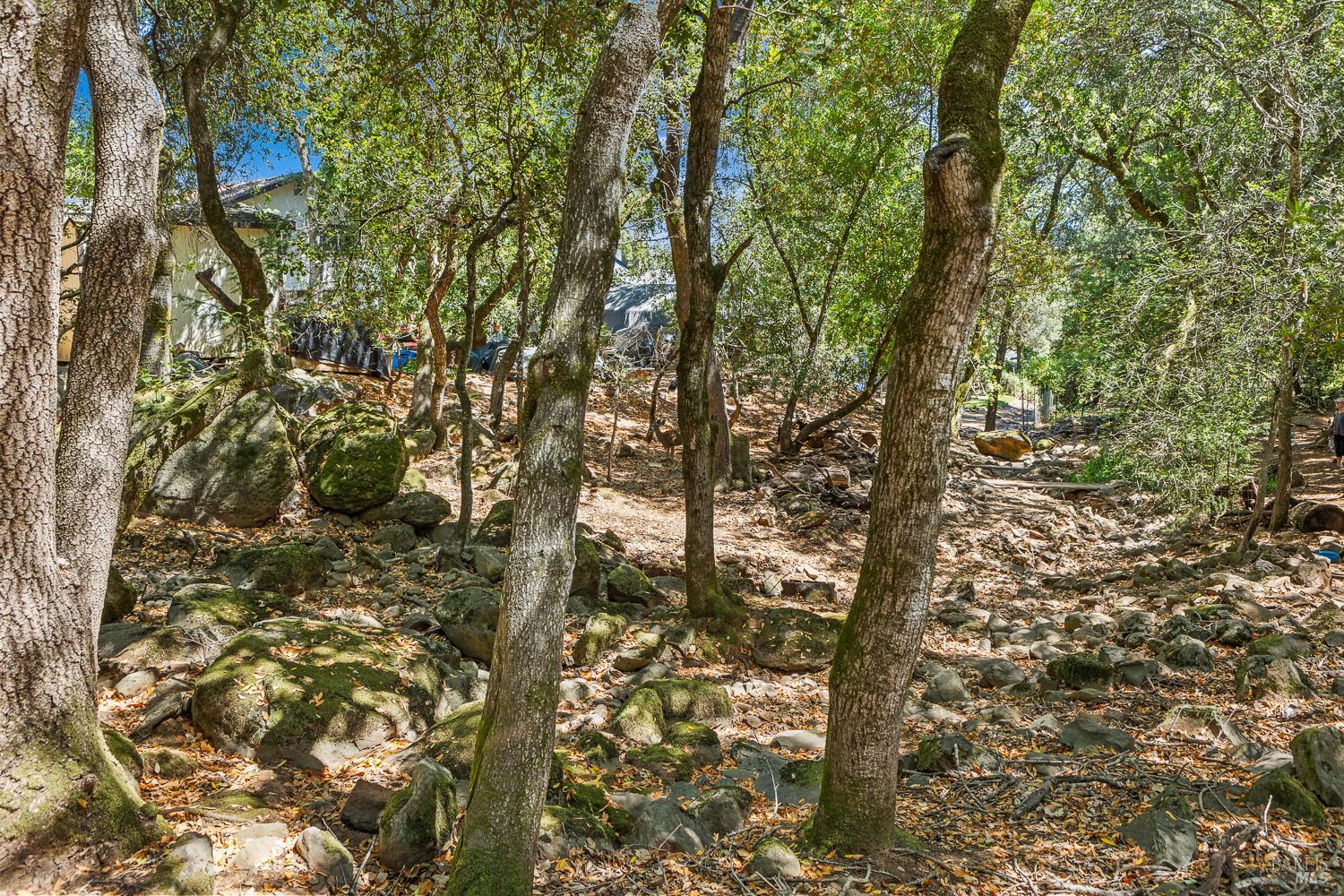 796 Los Olivos Road Santa Rosa CA 95404