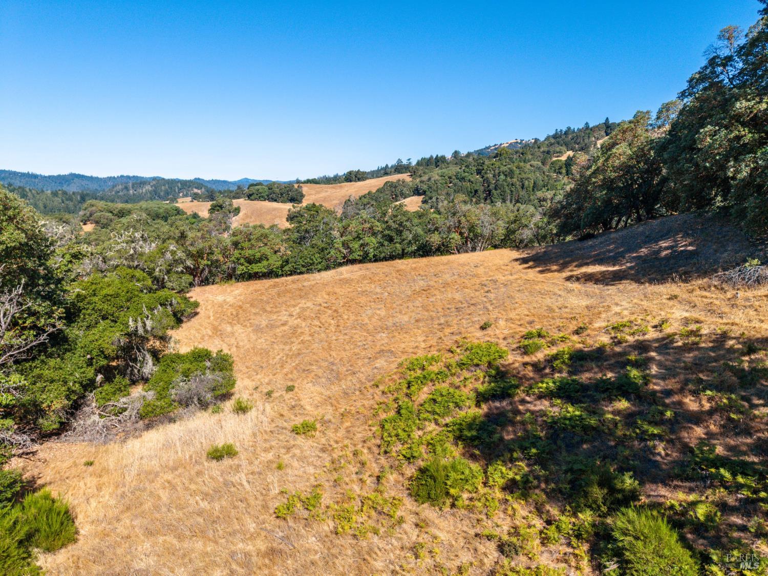 24051 Fig Tree Lane Yorkville CA 95494