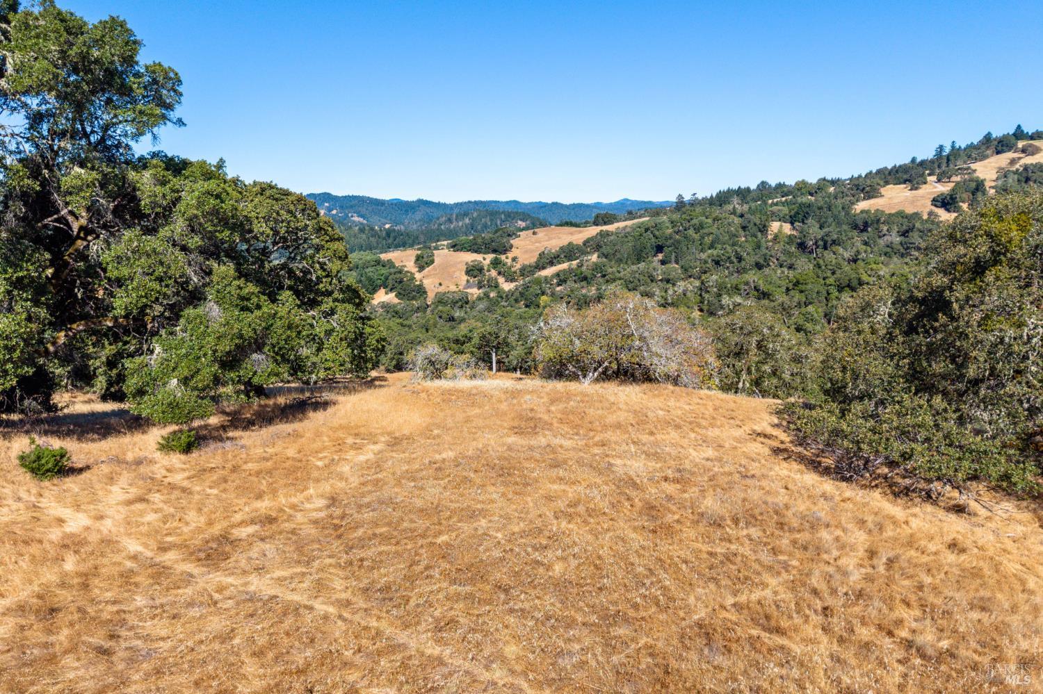 24051 Fig Tree Lane Yorkville CA 95494