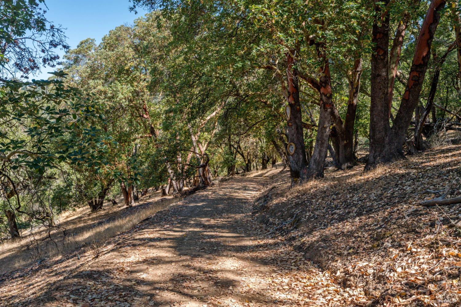 24051 Fig Tree Lane Yorkville CA 95494