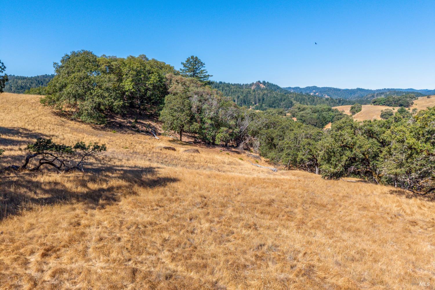 24051 Fig Tree Lane Yorkville CA 95494
