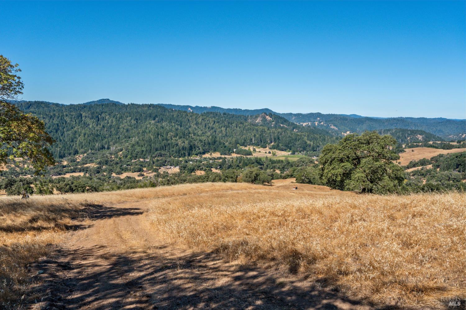 24051 Fig Tree Lane Yorkville CA 95494