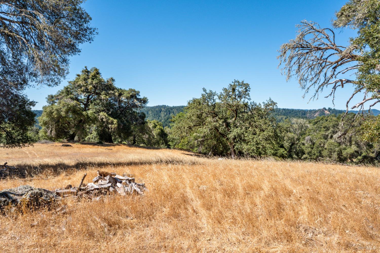 24051 Fig Tree Lane Yorkville CA 95494