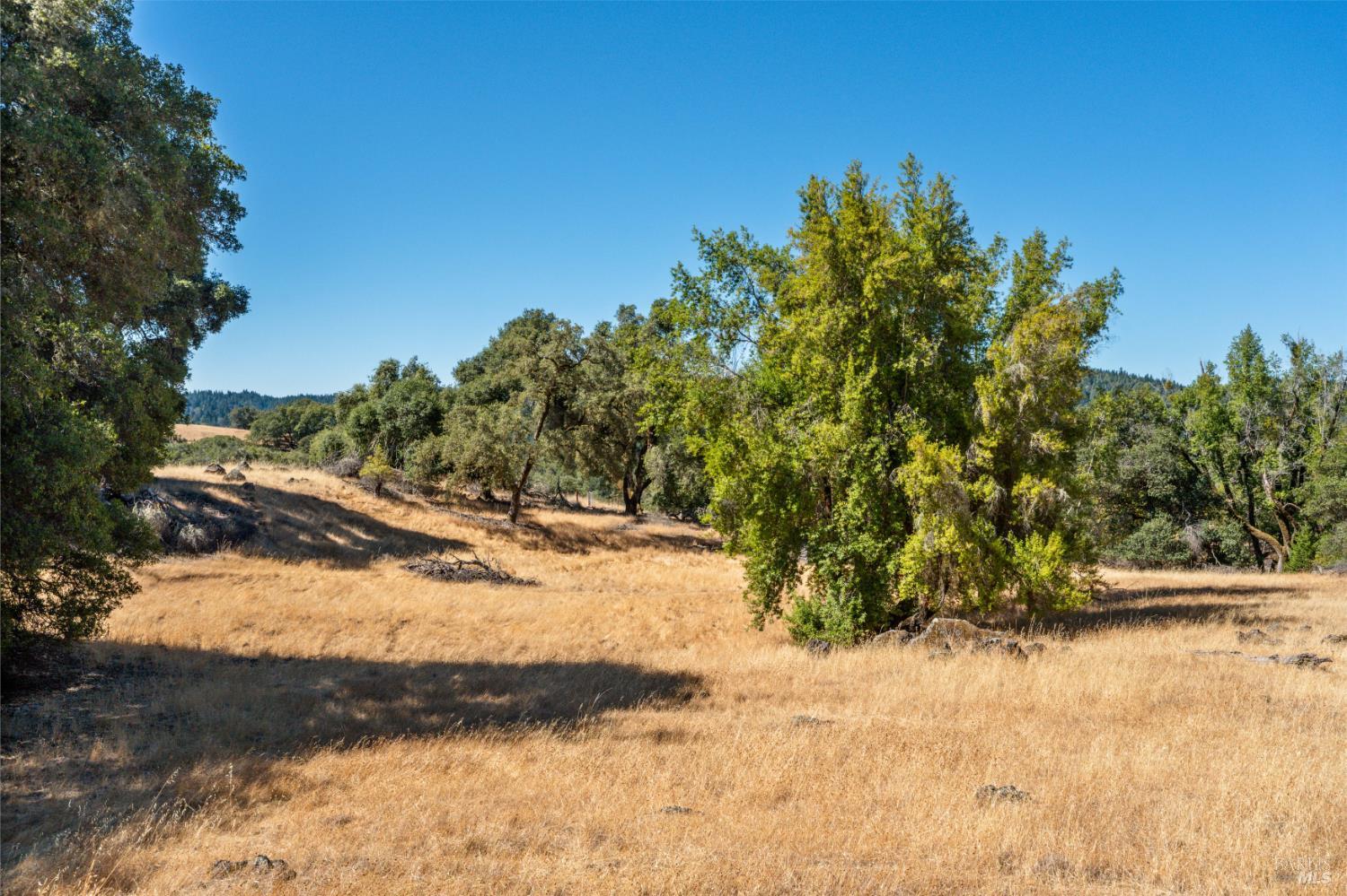 24051 Fig Tree Lane Yorkville CA 95494