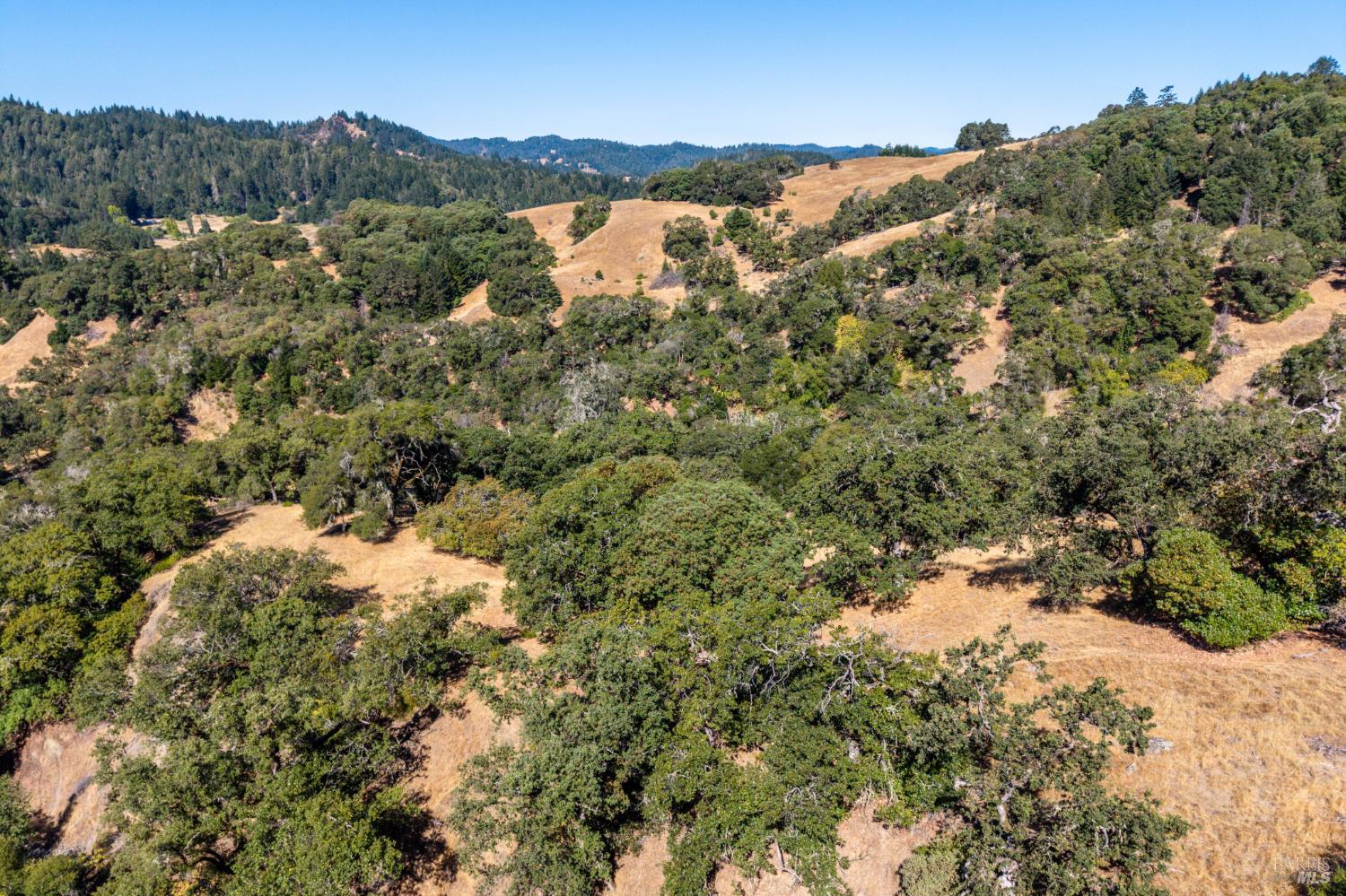 24051 Fig Tree Lane Yorkville CA 95494