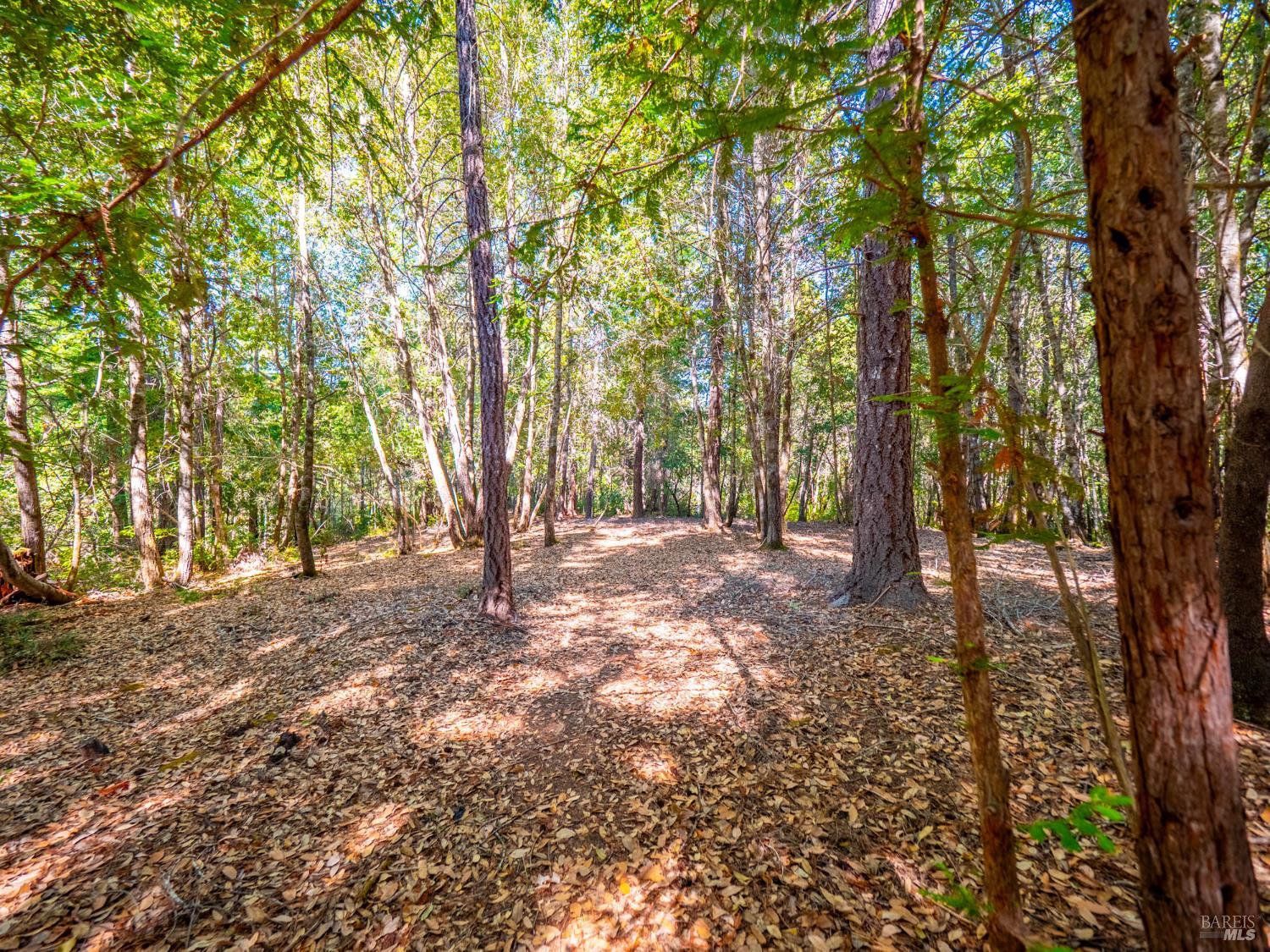 9375 Ravens Pike Road Boonville CA 95415