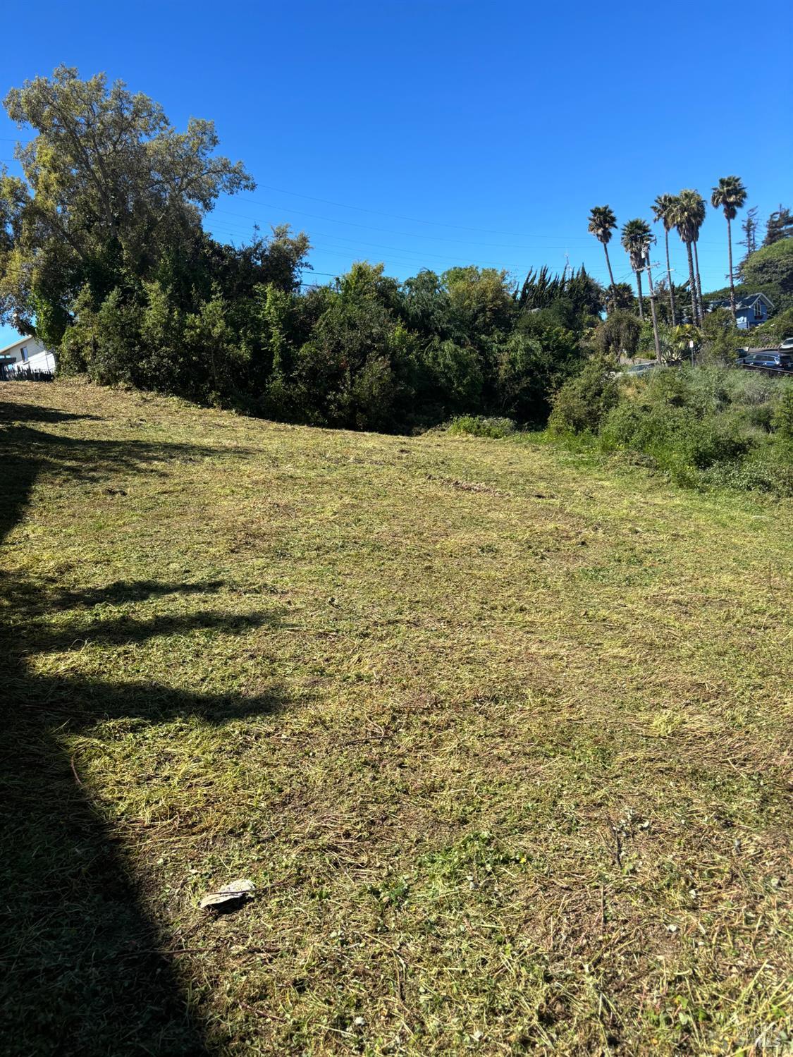 1 Harrier Avenue Vallejo CA 94590