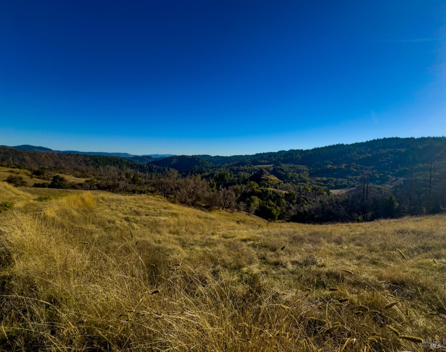9501 Big John Road Willits CA 95490