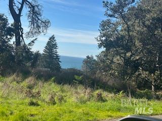 35411 Fly Cloud Road The Sea Ranch CA 95497