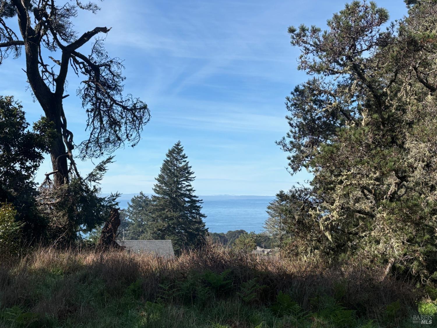 35411 Fly Cloud Road The Sea Ranch CA 95497