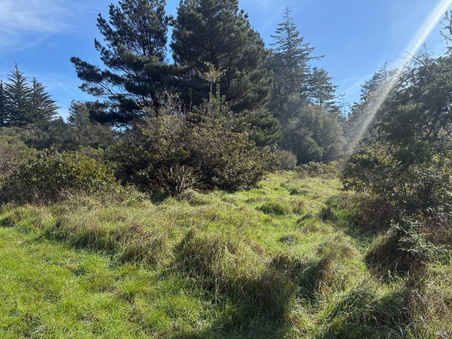 35411 Fly Cloud Road The Sea Ranch CA 95497