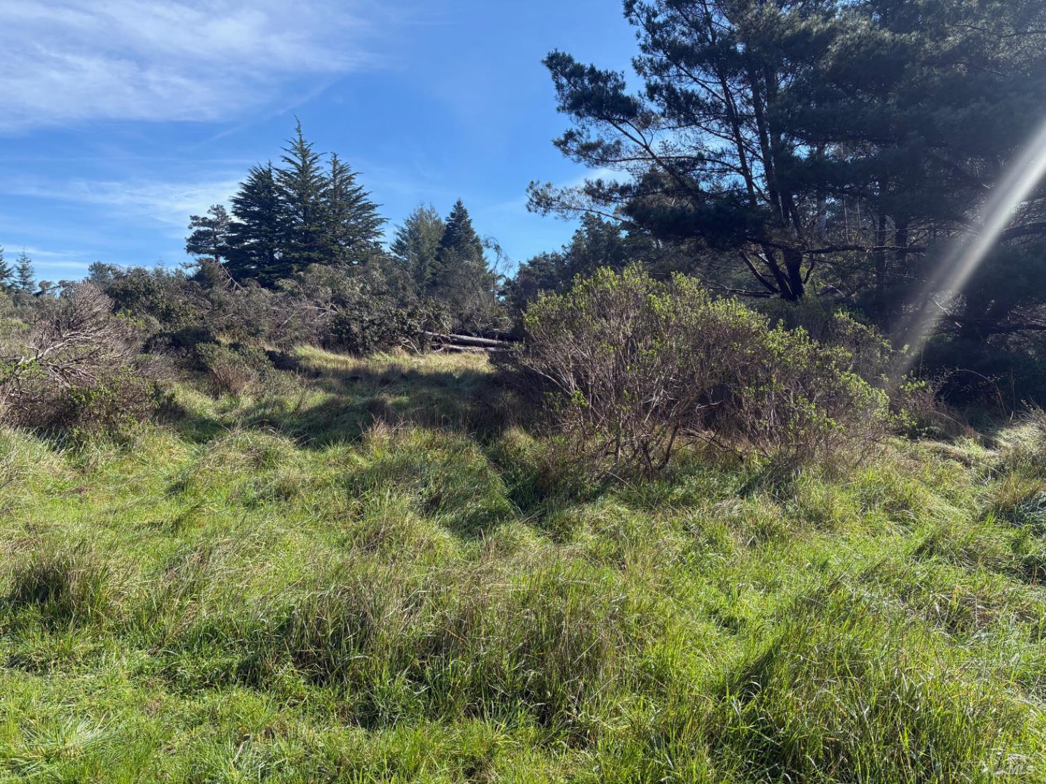 35411 Fly Cloud Road The Sea Ranch CA 95497