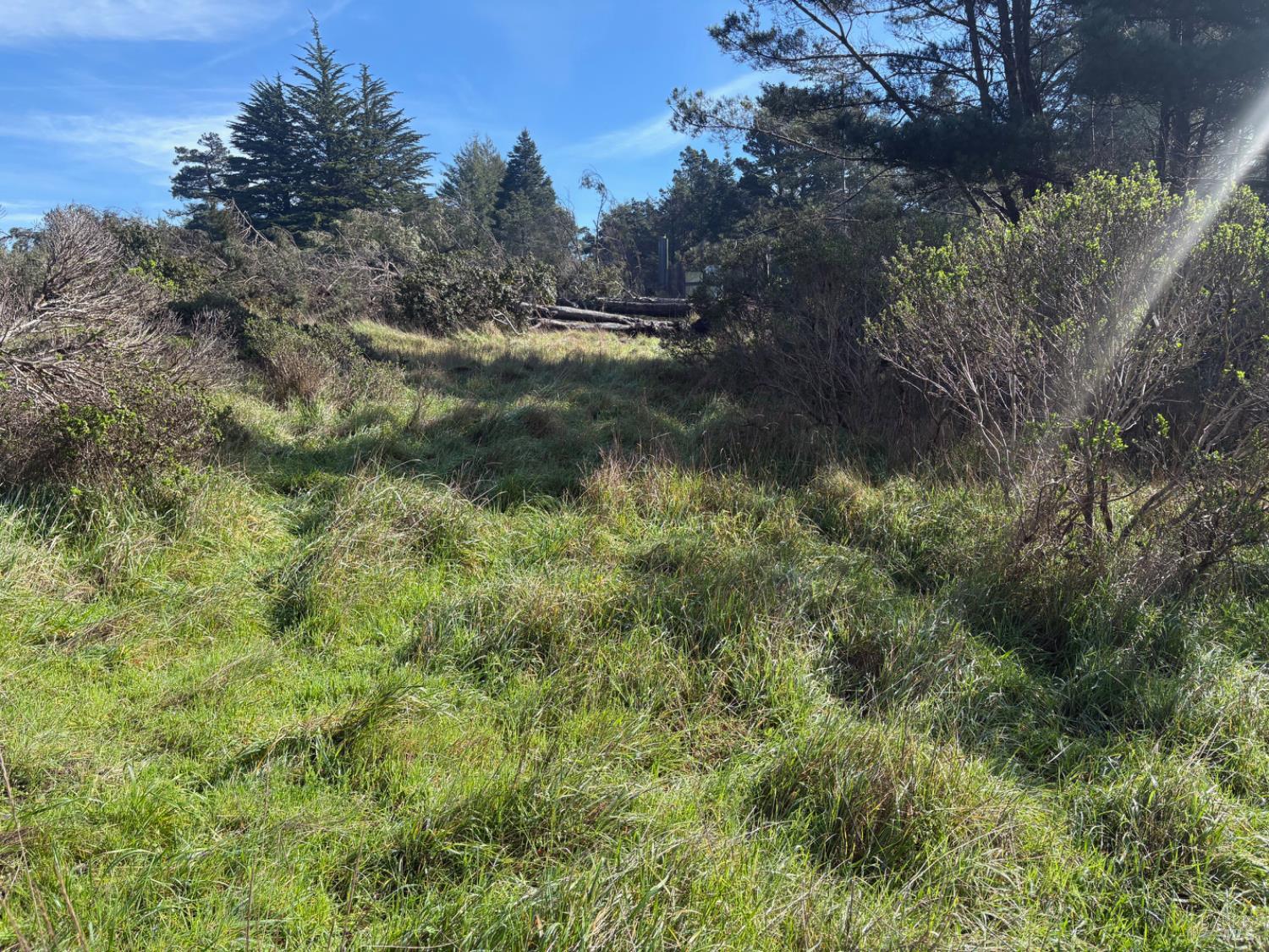 35411 Fly Cloud Road The Sea Ranch CA 95497