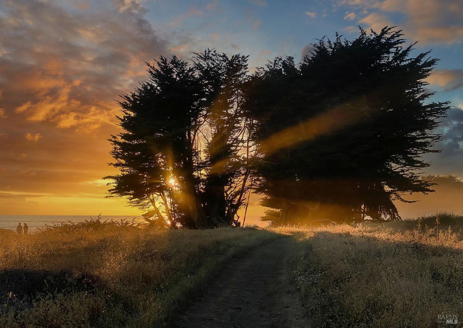 481 Drovers The Sea Ranch CA 95497