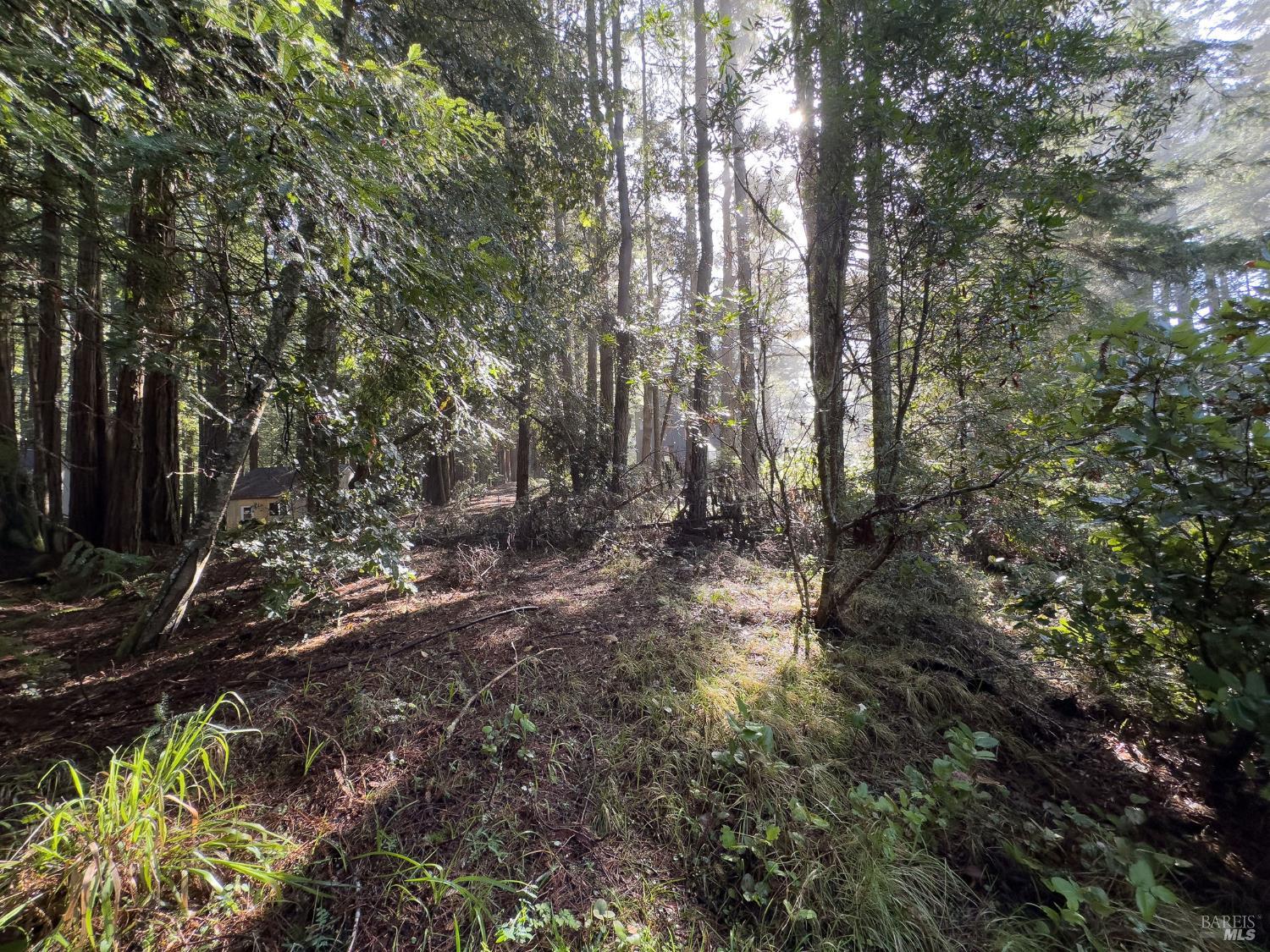 481 Drovers The Sea Ranch CA 95497