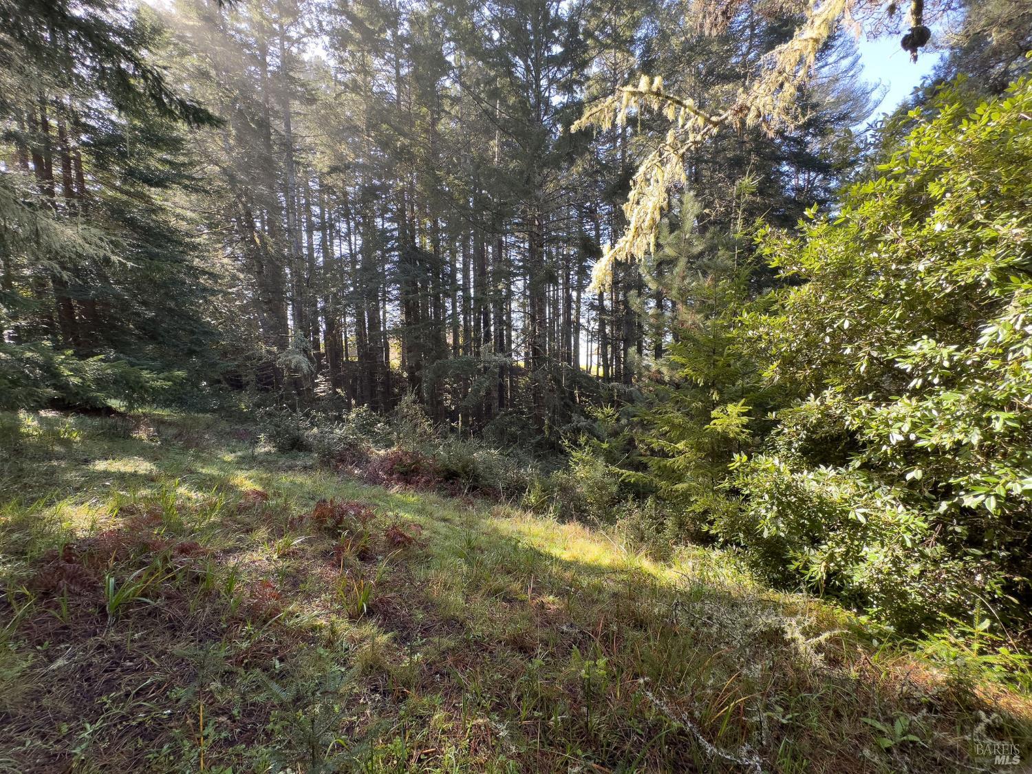 481 Drovers The Sea Ranch CA 95497