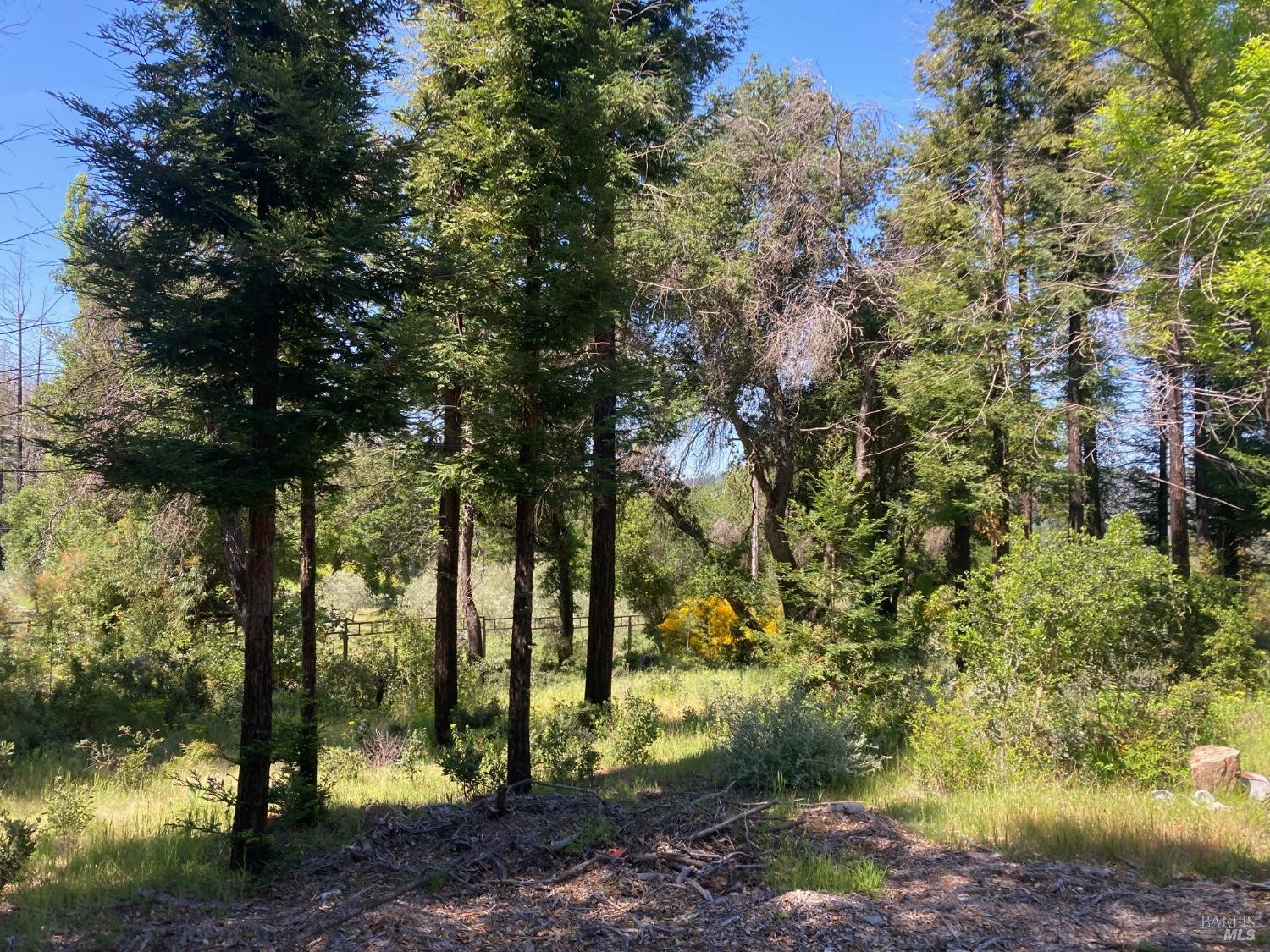 9201 Franz Valley School Road Calistoga CA 94515