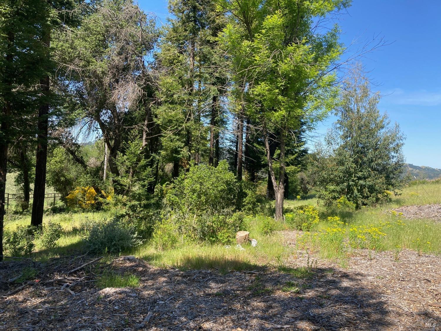 9201 Franz Valley School Road Calistoga CA 94515