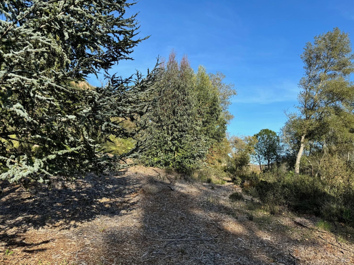 9201 Franz Valley School Road Calistoga CA 94515