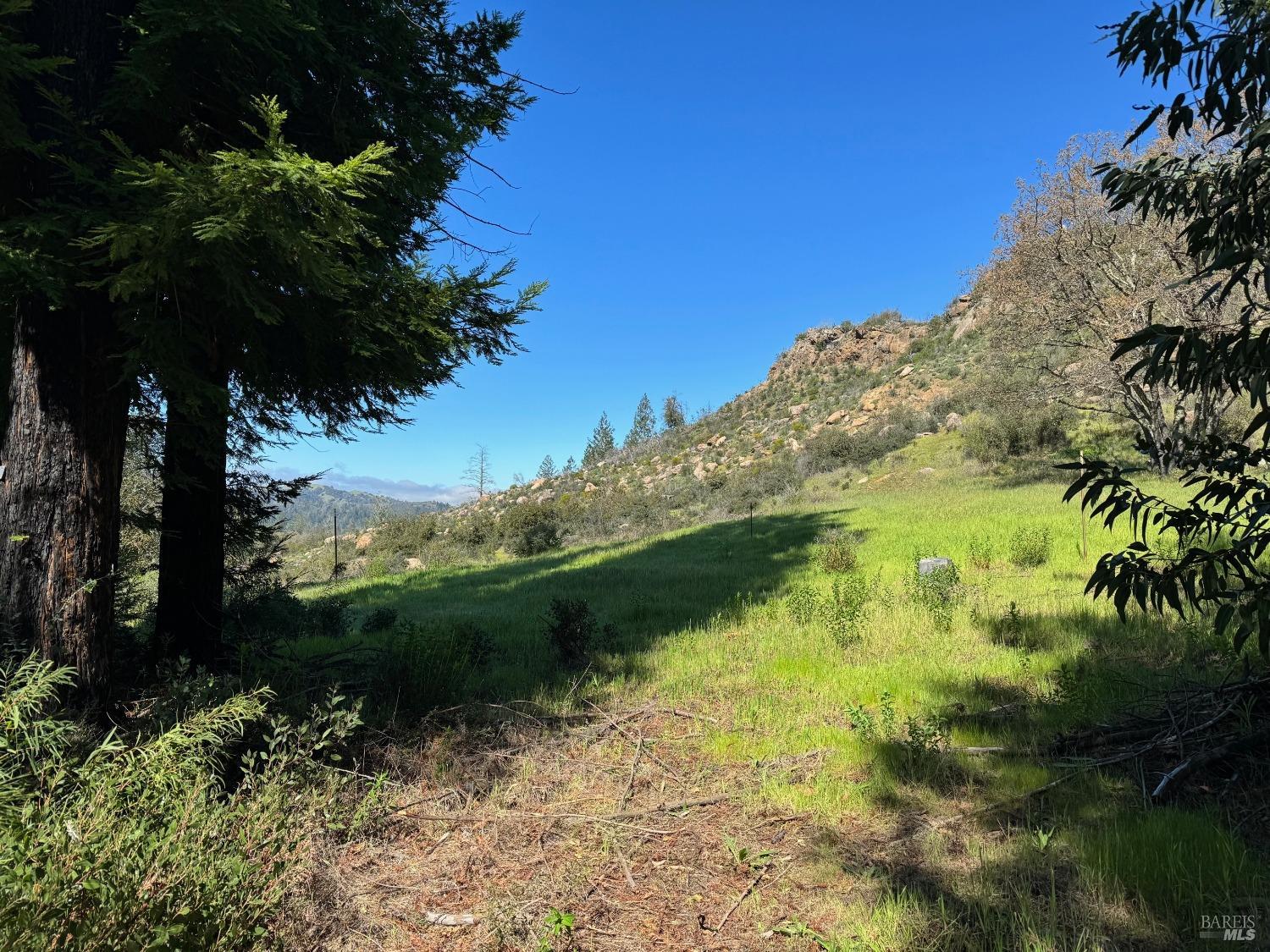 9201 Franz Valley School Road Calistoga CA 94515