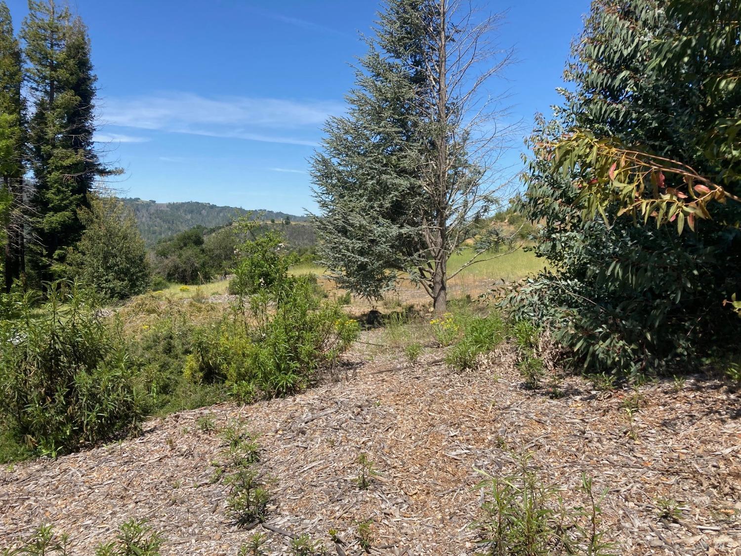 9201 Franz Valley School Road Calistoga CA 94515