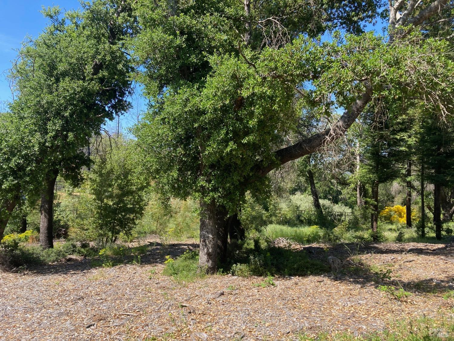 9201 Franz Valley School Road Calistoga CA 94515