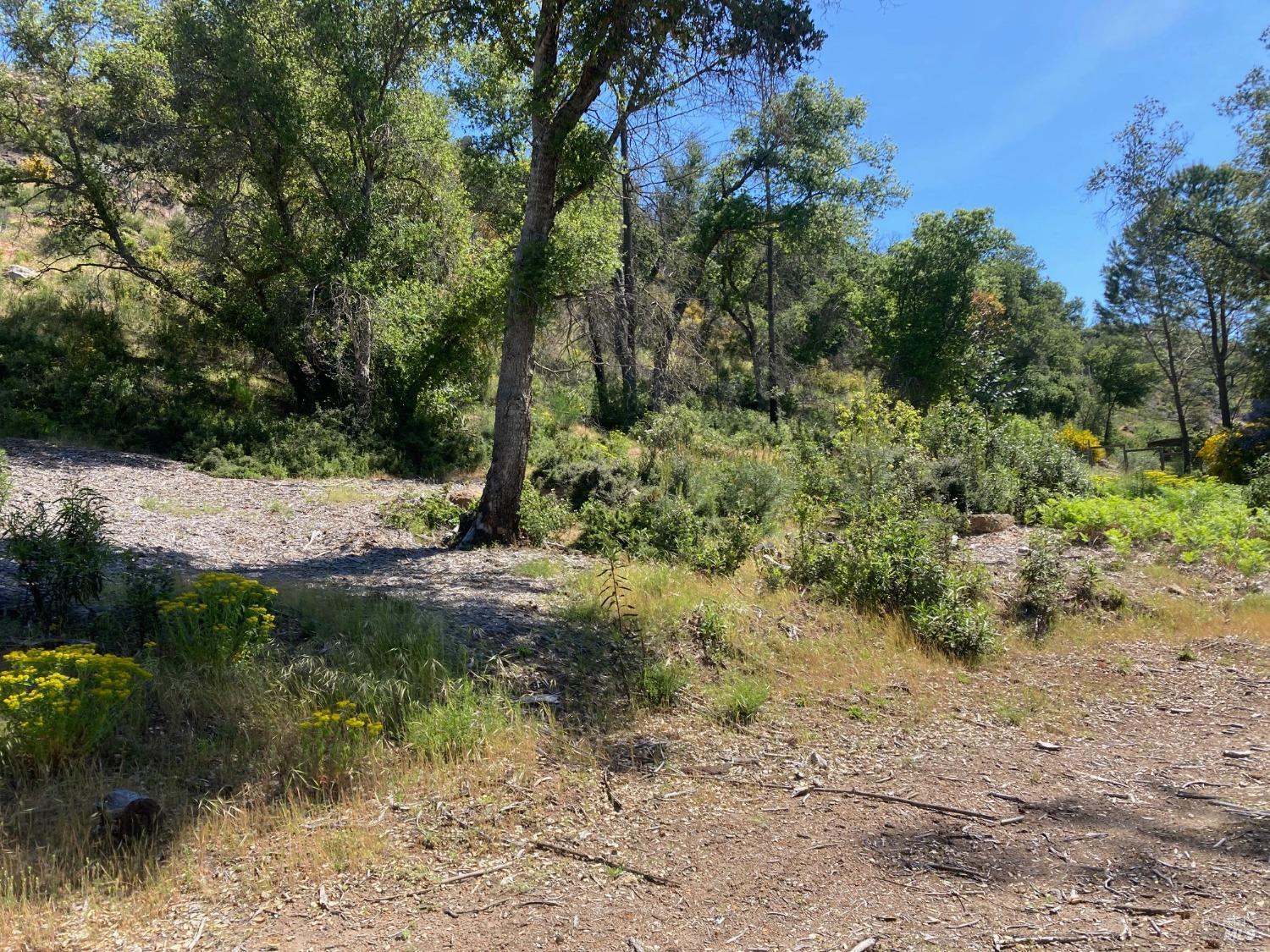 9201 Franz Valley School Road Calistoga CA 94515