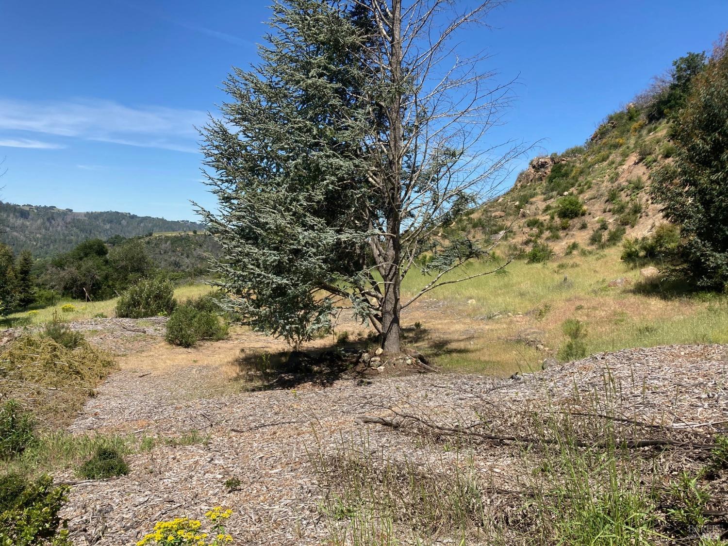 9201 Franz Valley School Road Calistoga CA 94515