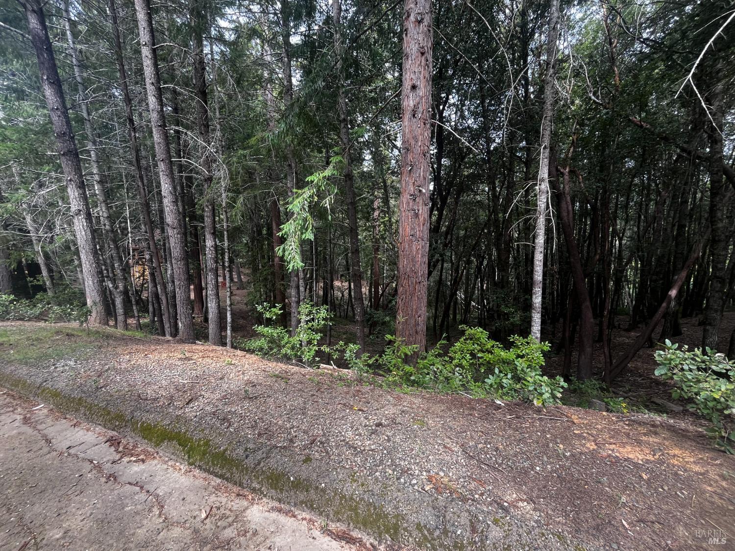 1572 Camellia Place Willits CA 95490