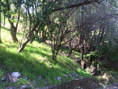 0 Fair Drive San Rafael CA 94901