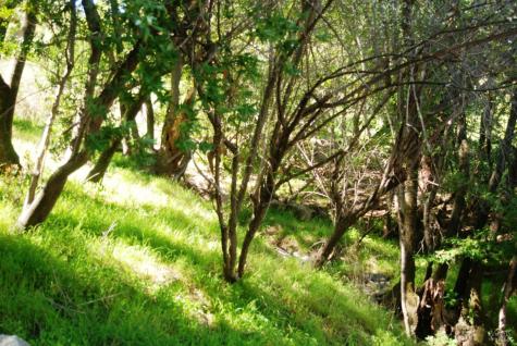0 Fair Drive San Rafael CA 94901