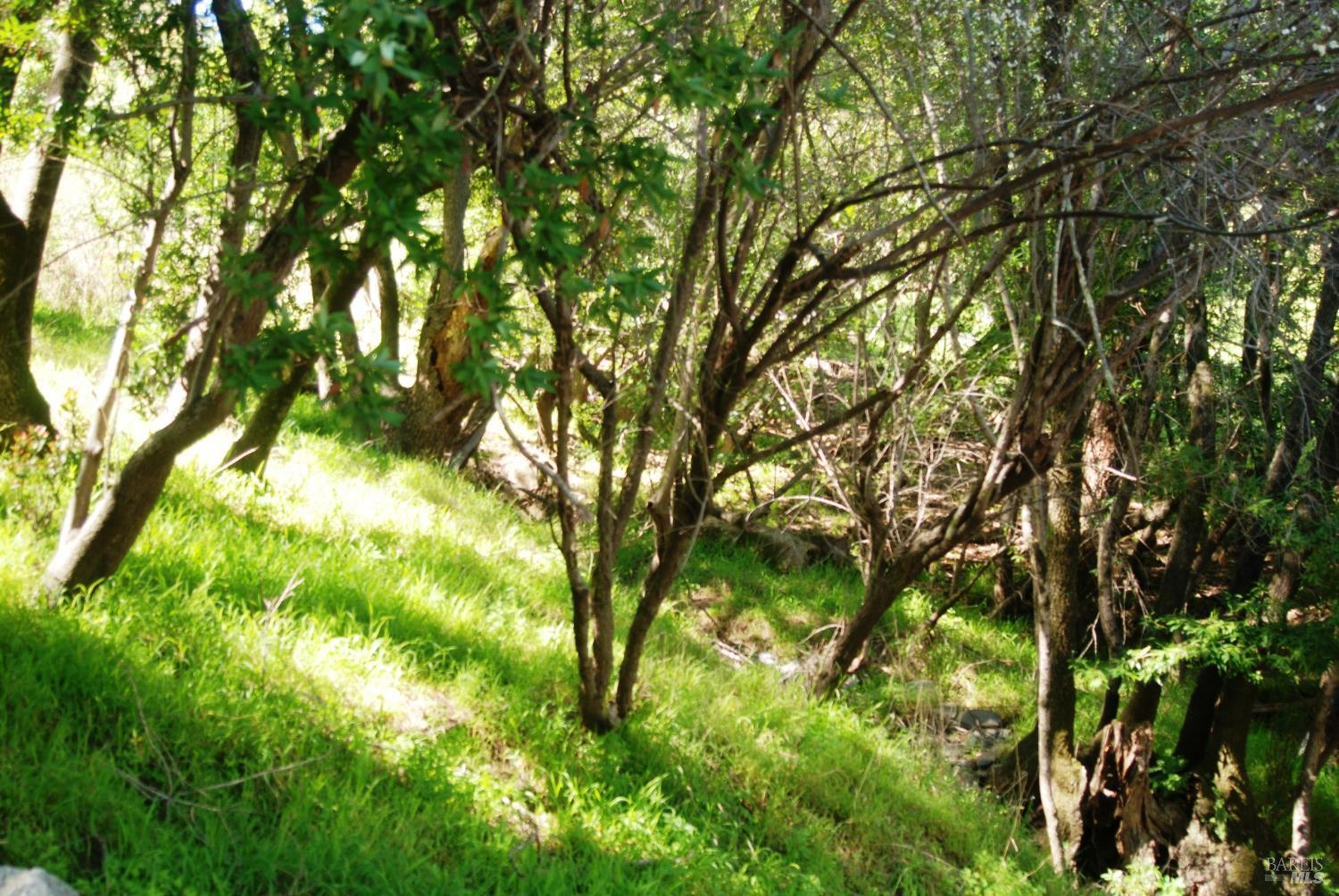 0 Fair Drive San Rafael CA 94901