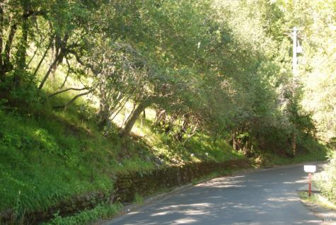 0 Fair Drive San Rafael CA 94901
