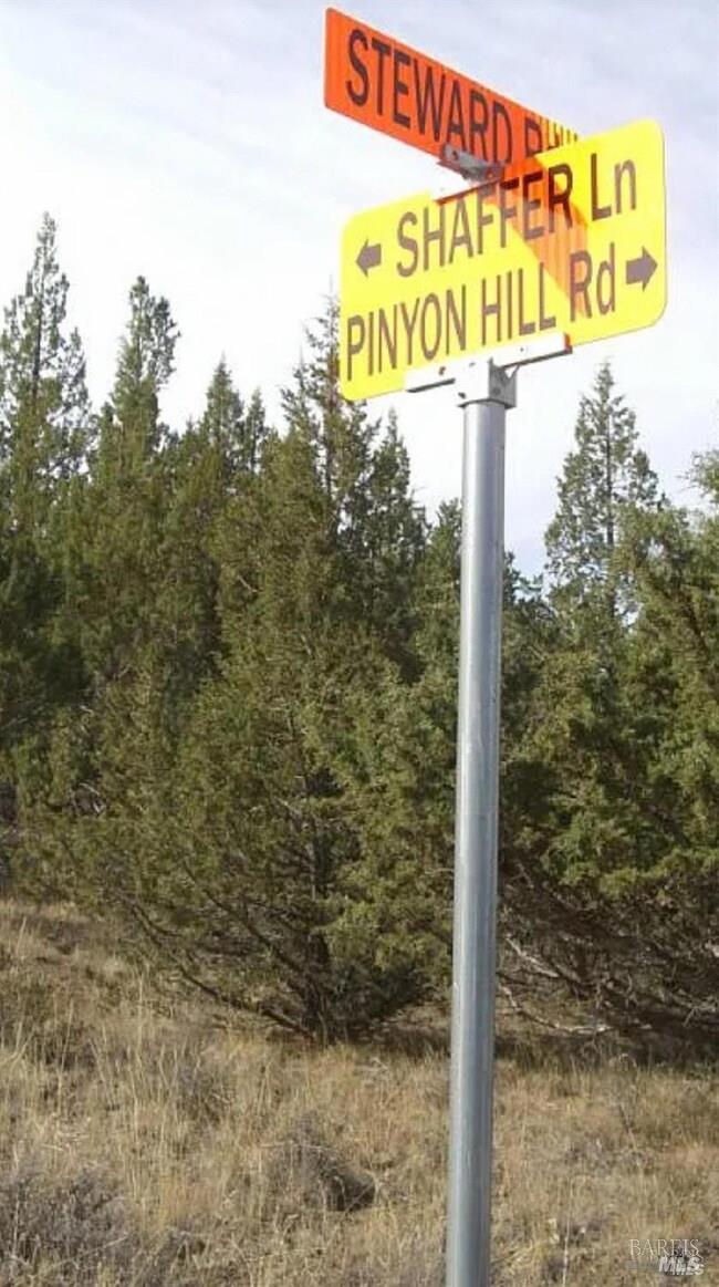 0 Schaffer Lane Alturas CA 96101