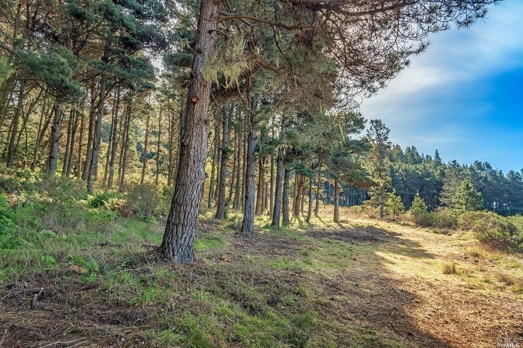 35995 Highway 1 The Sea Ranch CA 95497