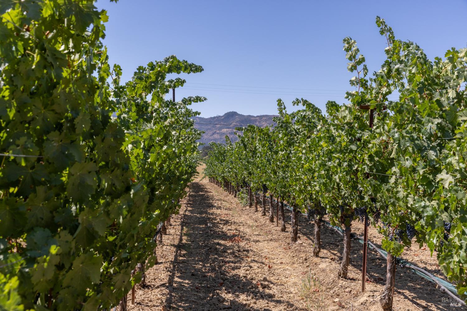 0 Aetna Springs Lane Pope Valley CA 94567