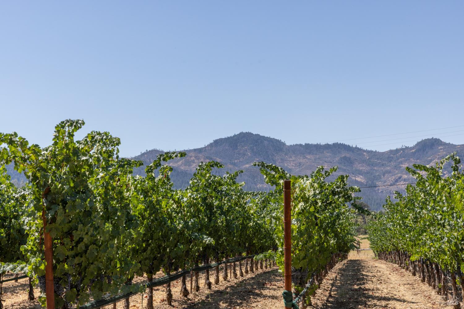0 Aetna Springs Lane Pope Valley CA 94567