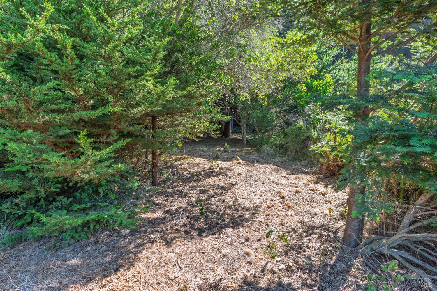 332 Antler Close The Sea Ranch CA 95497