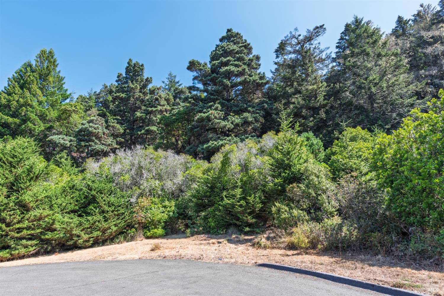 332 Antler Close The Sea Ranch CA 95497