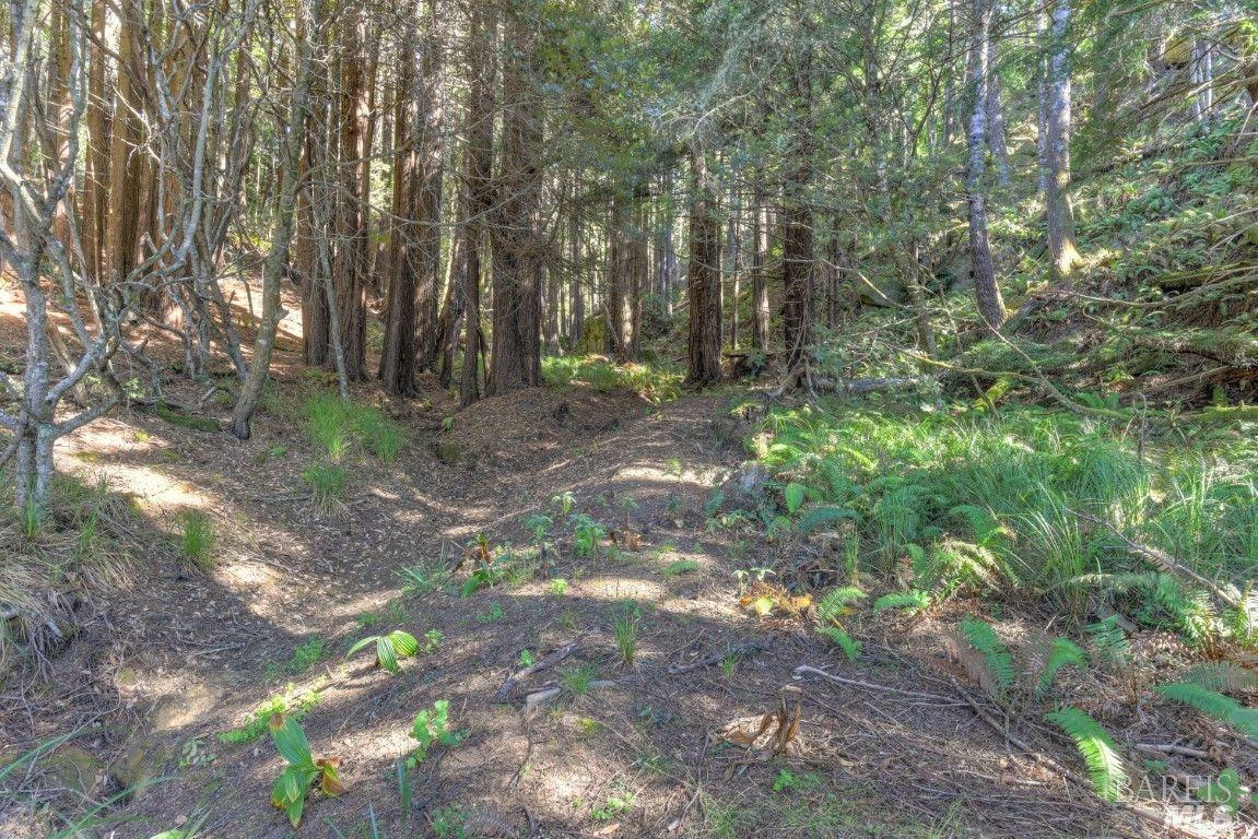 332 Antler Close The Sea Ranch CA 95497
