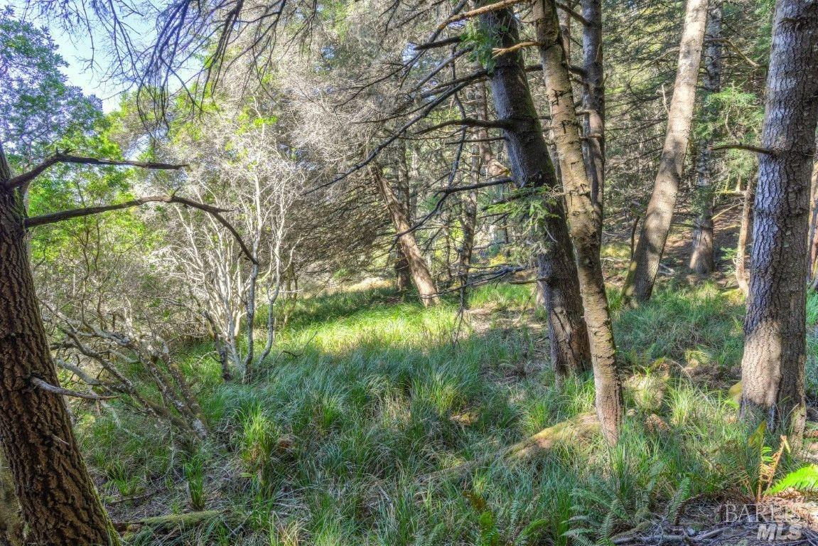 332 Antler Close The Sea Ranch CA 95497