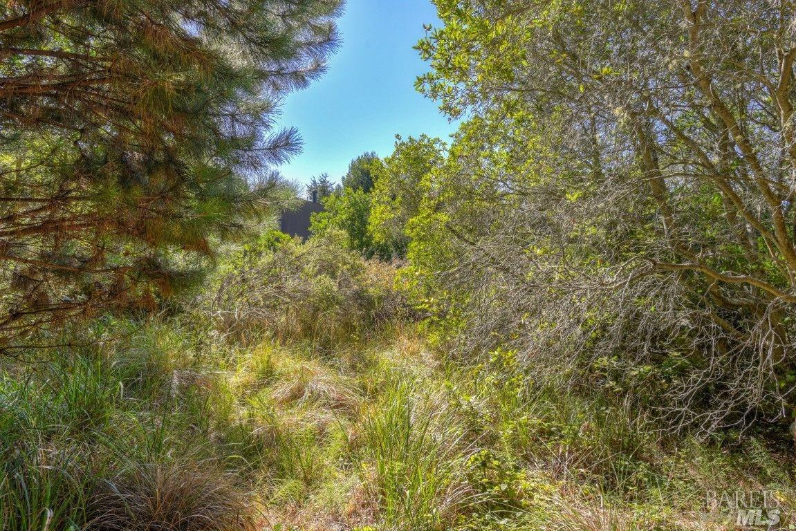 332 Antler Close The Sea Ranch CA 95497