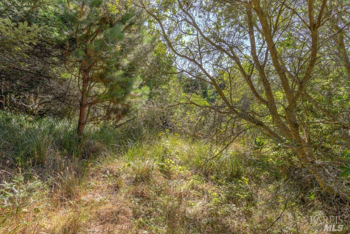 332 Antler Close The Sea Ranch CA 95497