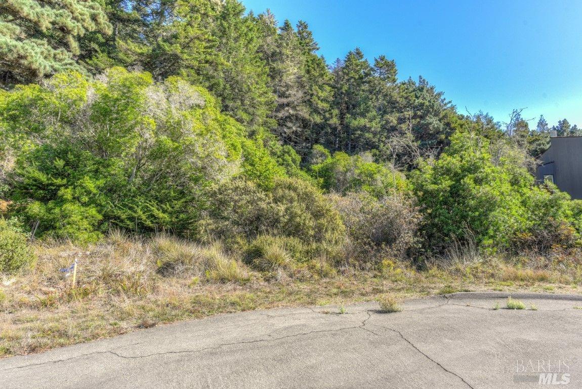 332 Antler Close The Sea Ranch CA 95497