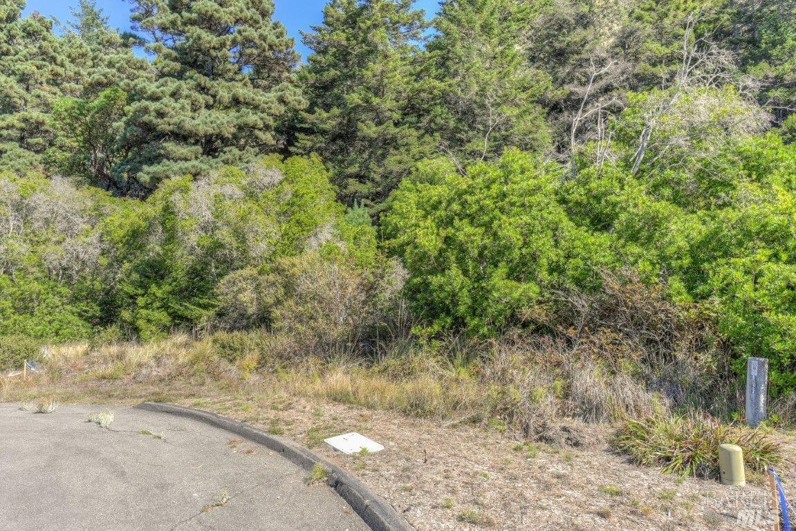332 Antler Close The Sea Ranch CA 95497