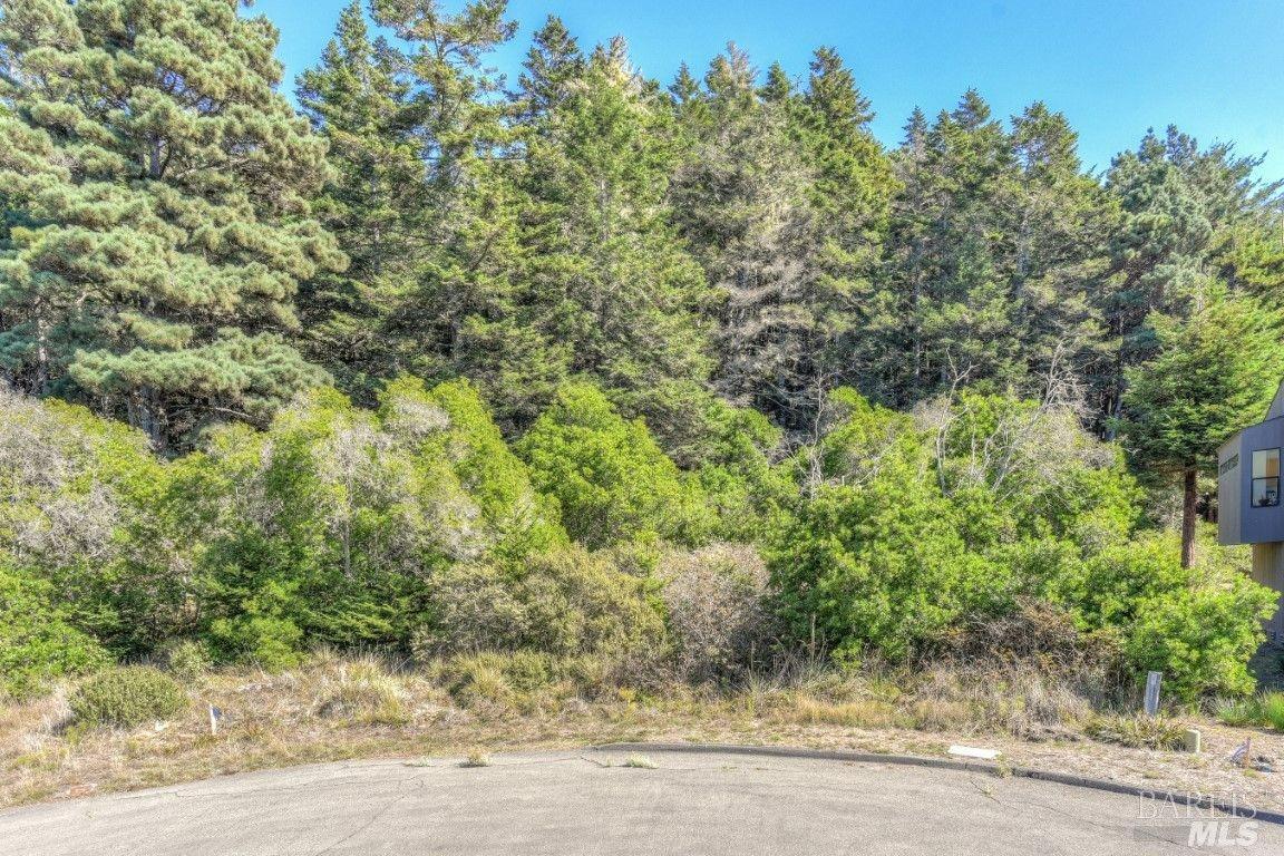 332 Antler Close The Sea Ranch CA 95497