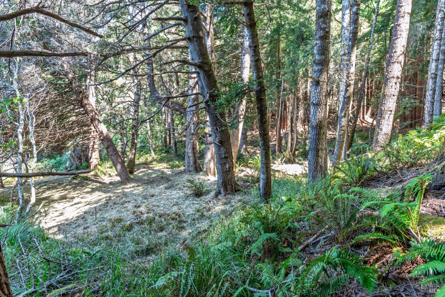 332 Antler Close The Sea Ranch CA 95497
