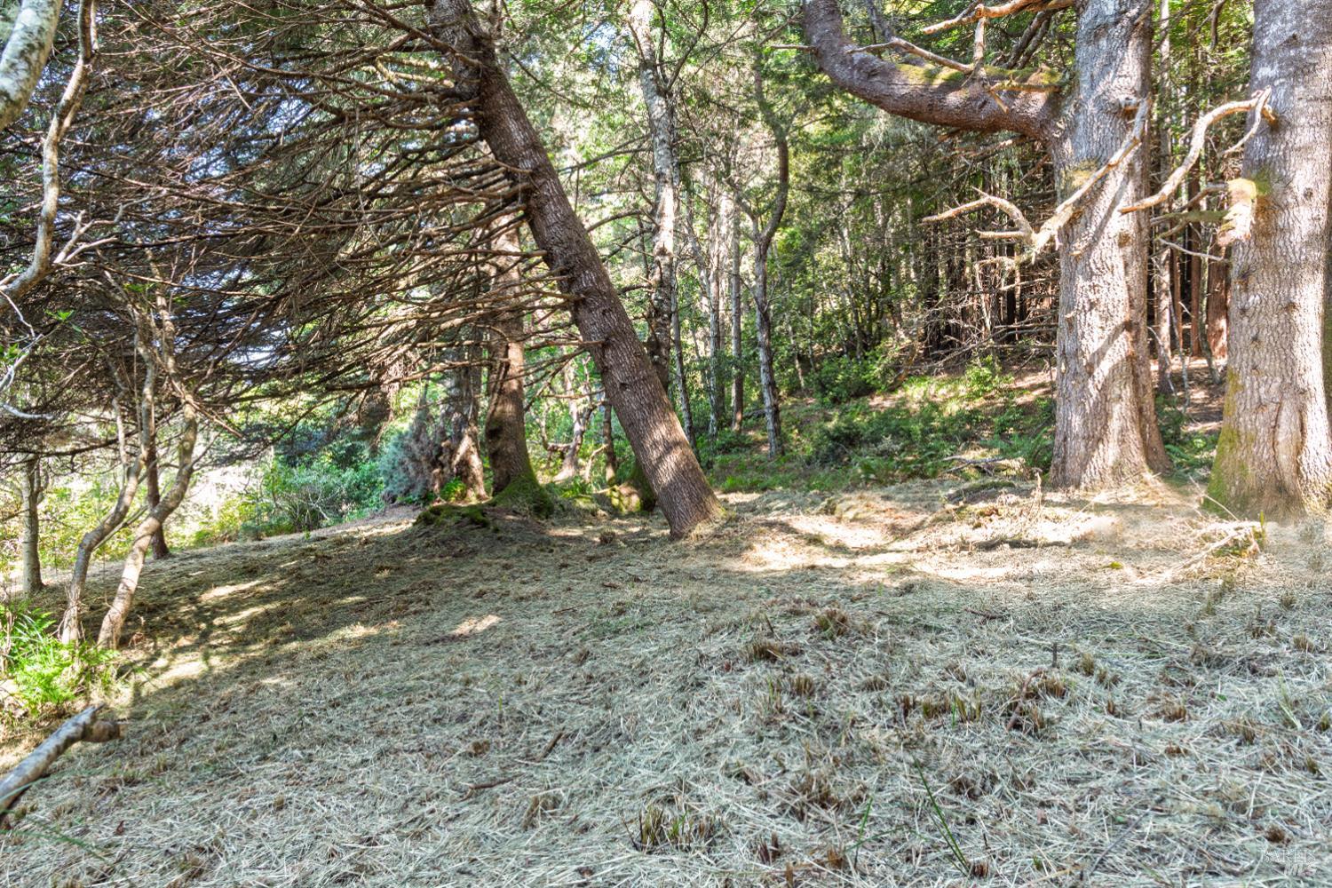 332 Antler Close The Sea Ranch CA 95497