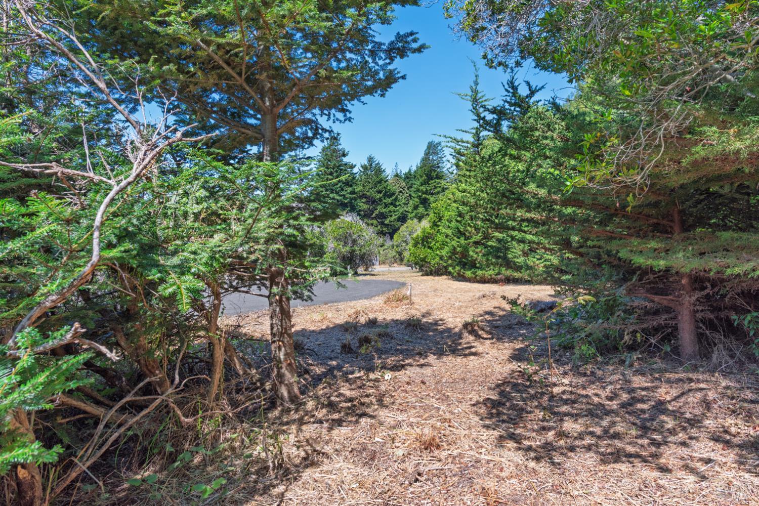 332 Antler Close The Sea Ranch CA 95497
