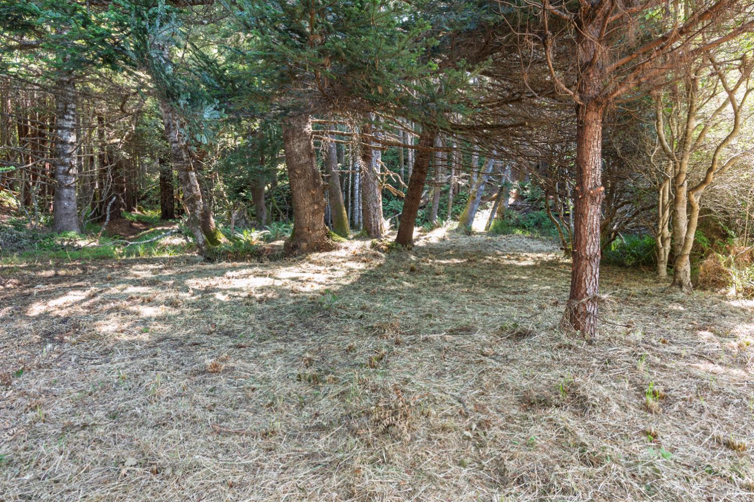 332 Antler Close The Sea Ranch CA 95497